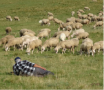 歴史・文化 Storia e Cultura